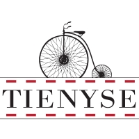 Tienyse_logo